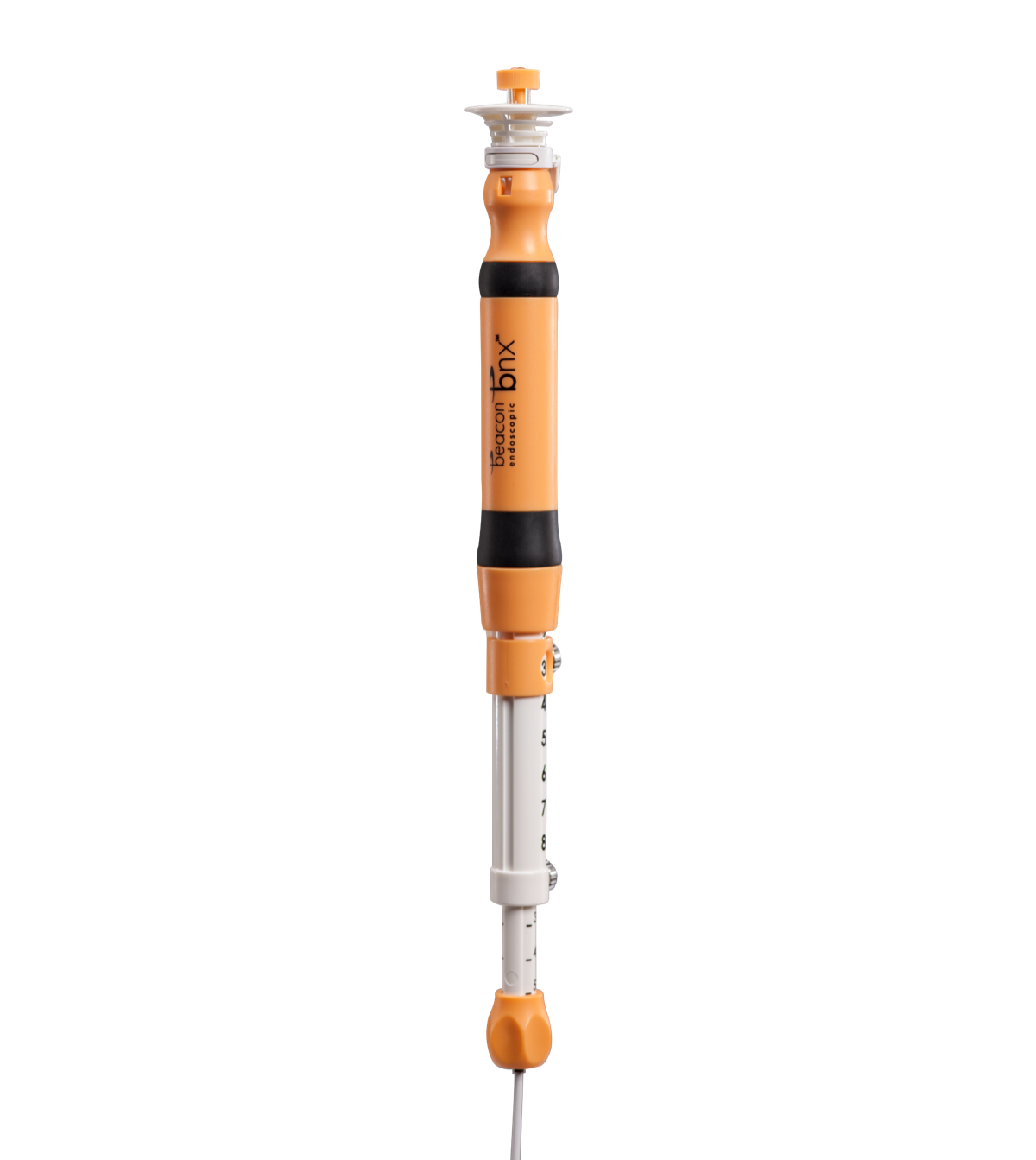 Beacon™ EUS Delivery System